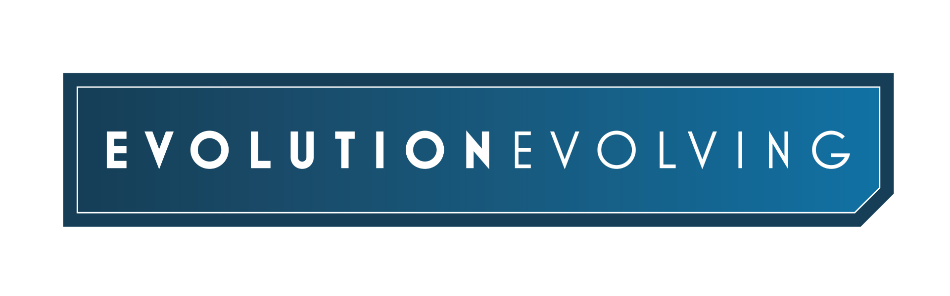 Evolution Evolving